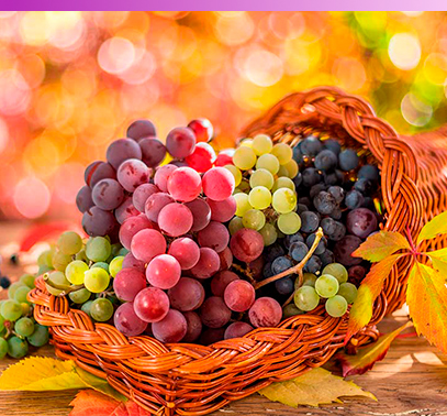 La uva es un alimento con nutrientes esenciales y resveratrol,