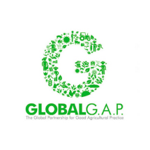 global-g.a.p-green