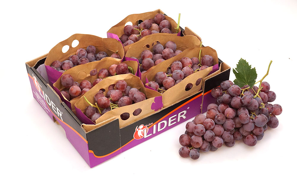 Bolsa Kraft de 4,5 kg de Raimsa Grapes