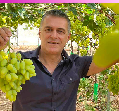Tomas Rosatto de Raimsa Grapes con nuevas variedades de uva sin semilla