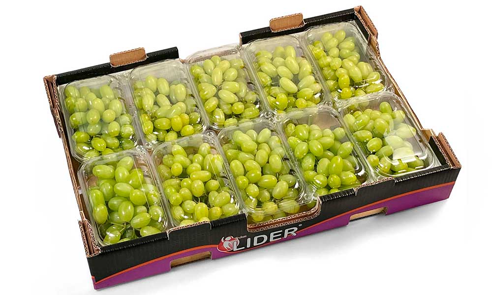 Caja de uva de mesa con 10 envases Clamshell de Raimsa Grapes